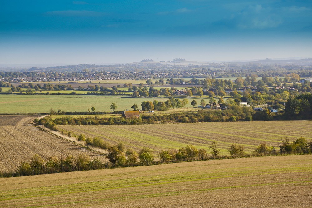 Wittenham Clumps South Oxfordshire