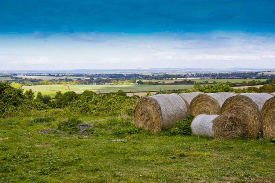 Rolling hills and hay bales