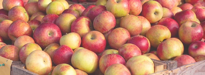 A photo of apples