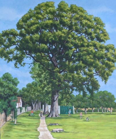 Painting by Linda Benton of a big tree in Edmonds Park in Didcot