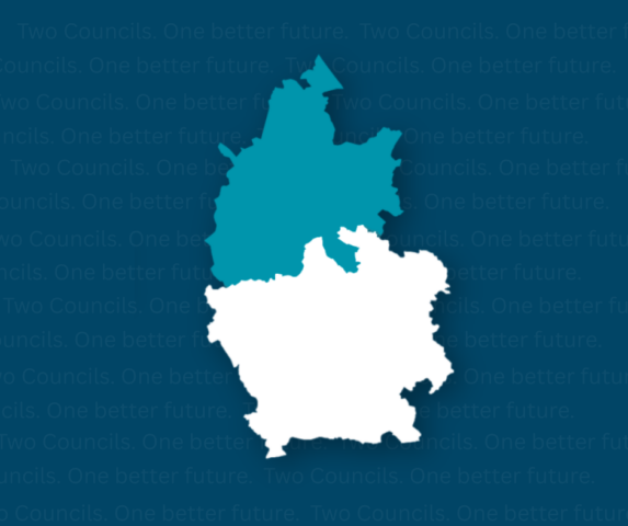 blue background with an image of the new proposed council map