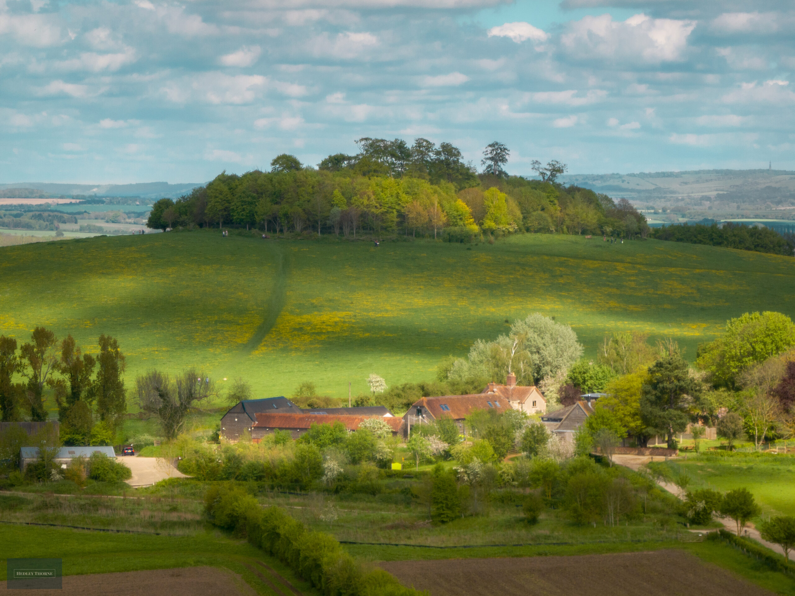 Image credit: Hedley Thorne 