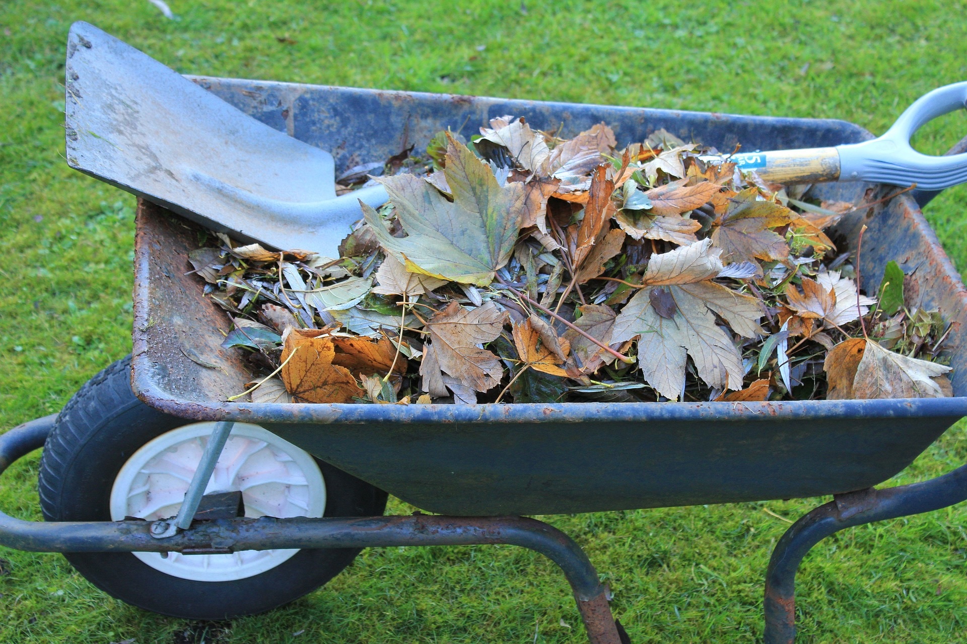 garden-waste-service-update-south-oxfordshire-district-council