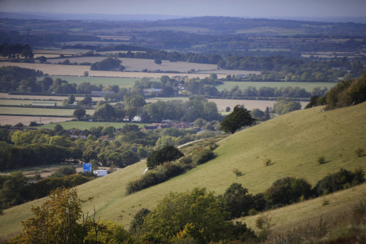 a picture of green hills, trees and landscape across the Chilterns