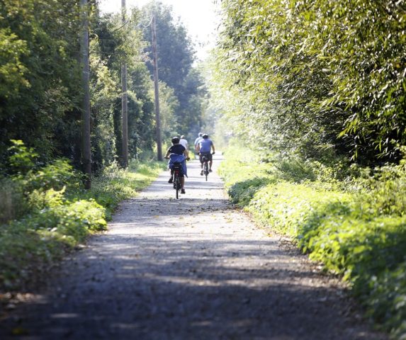 Two people cycling down a cycle track