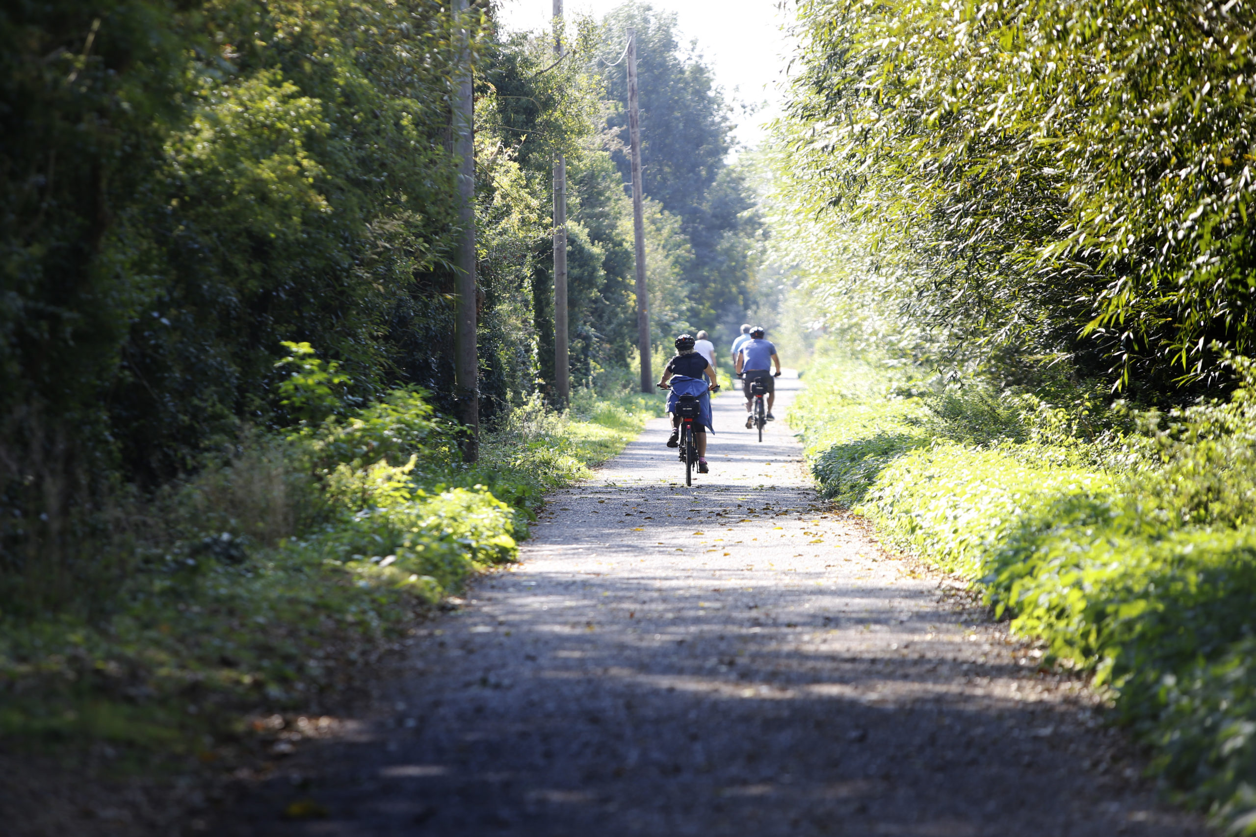 Cyclists enjoying cycle lane