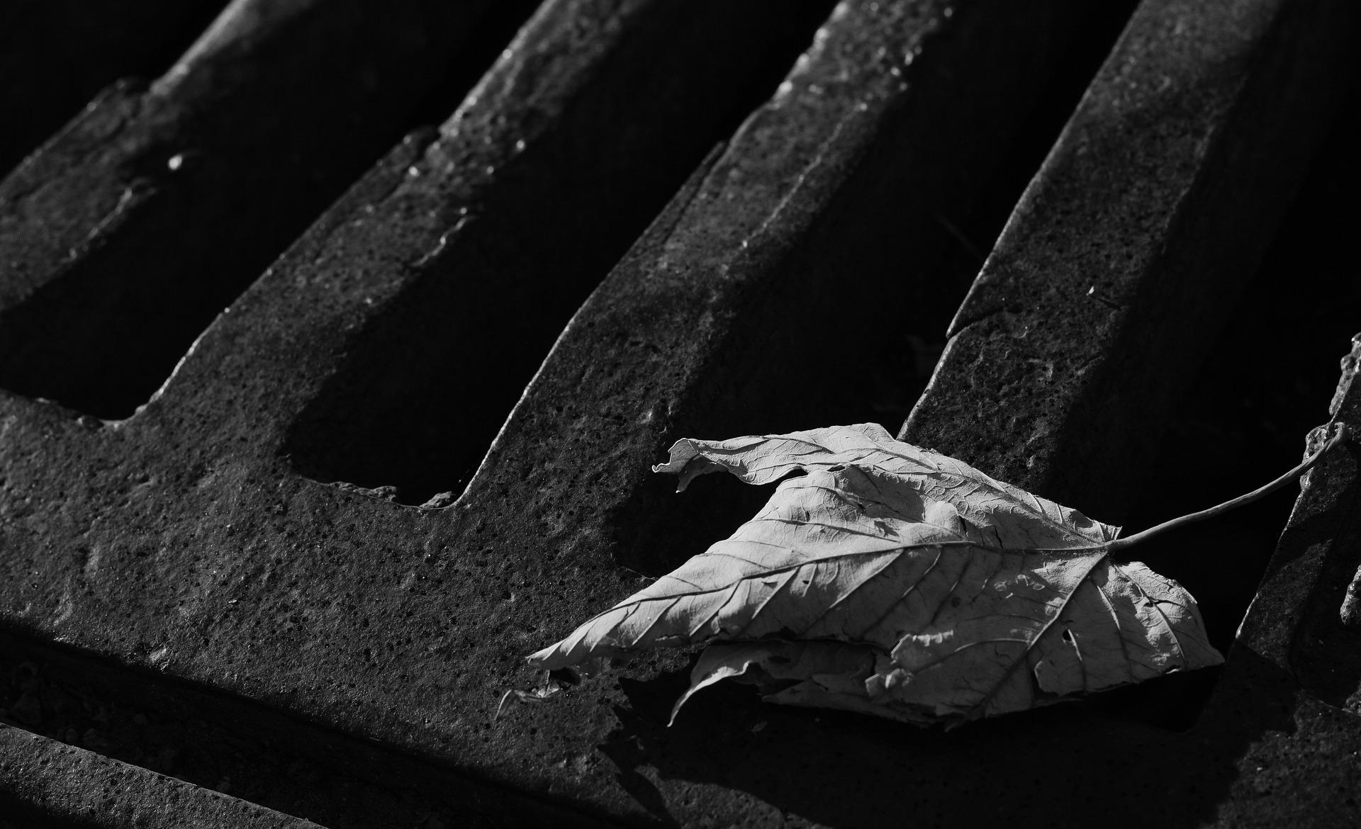 a close-up black and white photo of a drain